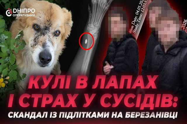 ���� � ����� � ����� � �������: ��� �������� � �������� � ����������� �� �����������