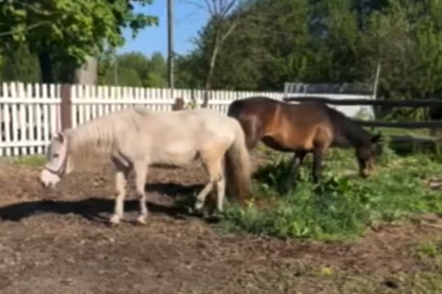 ���������������� ������ ��������� ����� ������ ����� ������� ����� ����� �����
