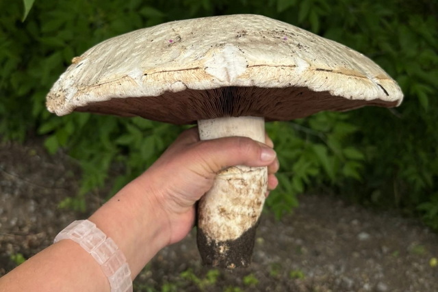 �� ���������������� ������� ����� ������ ������