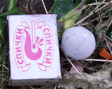 ����� ��� ������