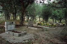 �������� ����� �������� ���-�����������