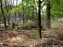 ������ ������� �� �������� ��������