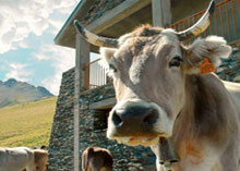 ���� ��������� ��������� ������������������� � ���������������� �������