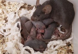 �� ����� ������ �������� ������� ���� �������