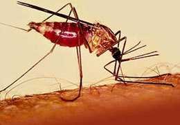 � ���������������� ���������� ��������� ��������� ��������