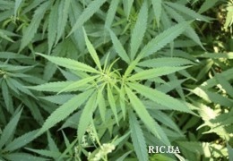 � ������������� ������ ������� ����� ��������� �������, � � ������ ���� � ����