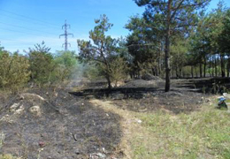 � ���������������� ����� ���