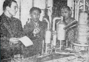 � ������� ���������� ���������� � ���������������� ������ ��� � 1960 ����