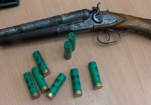 �������� �������� ������������������ ����������