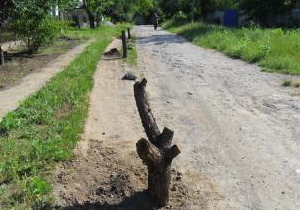 ������ � 6-�� ������������