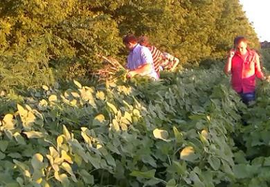 �� ���������������� ��������� ������� ������������� ��� ���� �������������