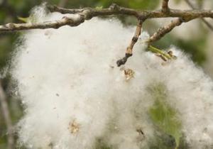 ���������� �����