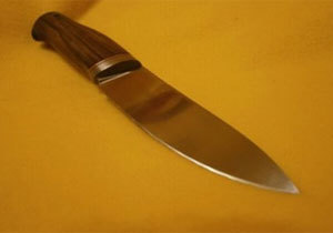 ������� ��������� ����������, ������� ������������� � �������� �������� ������