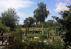 �������� ���������� ����� �� ��������� 16 ��������� �� ������������� ��������