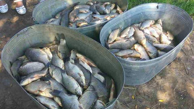 На Каменском водохранилище поймали браконьера