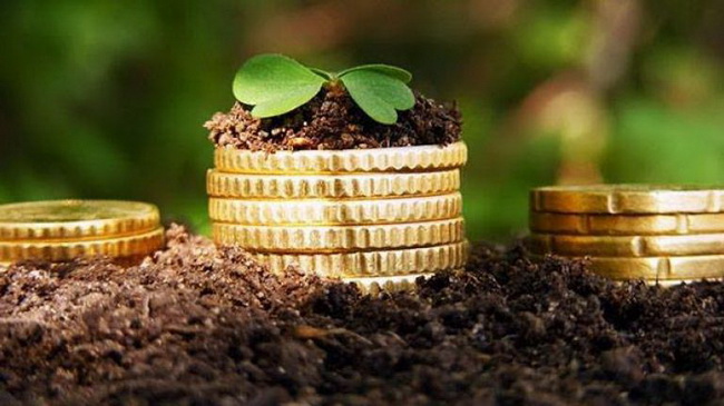 Каменские депутаты против поднятия ставки по арендной плате за землю