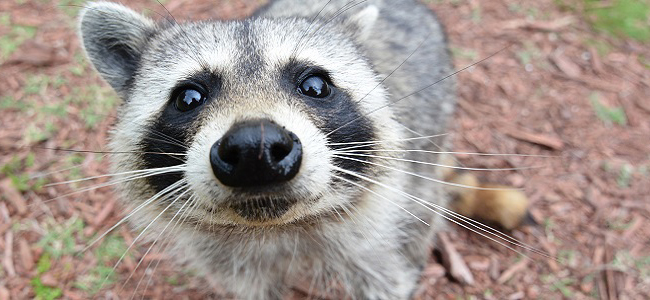 � ������ ��������� ��� ���� ������� � ������ �����