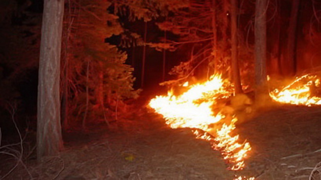 � ��������� ����� ����� ���