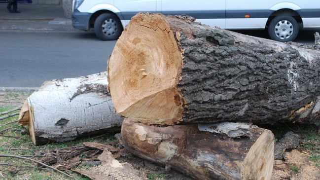 � ��������� �� ������� ������ ������� ������� 