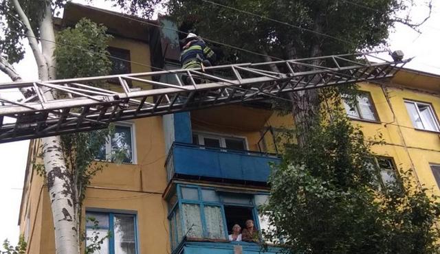 В Кривом Роге спасатели сняли мальчика с дерева