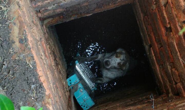 � ������ ��������� ������� ������ �� ����