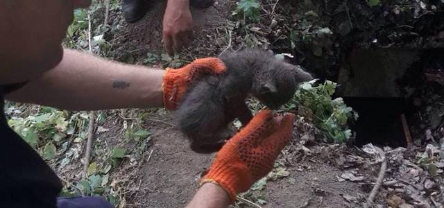 � ����� ������������ ������ ������ � ������������ �����