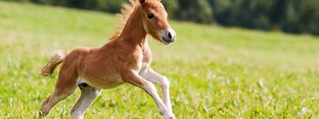 � ������ ��������� ������� ������ ��� ���� ������ �� �������� ���������