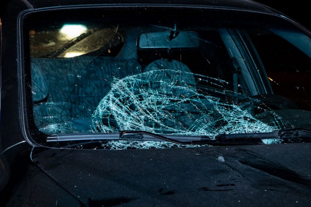 � ������ �������� �� ����� Daewoo Lanos ���� �������