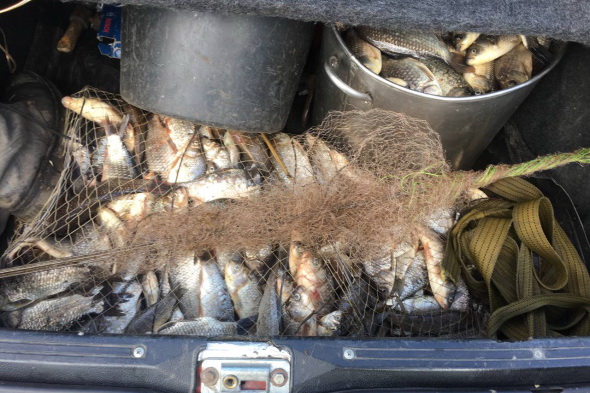 За 60 кг выловленных карасей браконьеру придется заплатить 680 тысяч грн ущерба