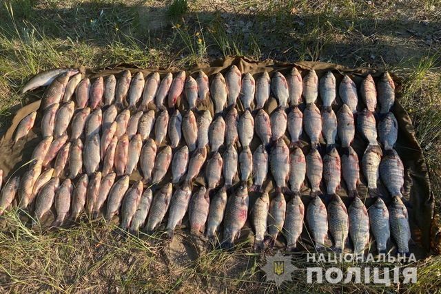 На Каменском водохранилище браконьеры наловили рыбы на 150 тысяч грн