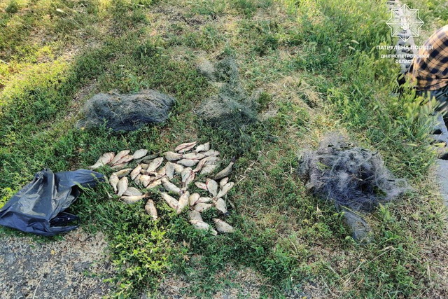 На Самарі браконьєр виловив карасів на 86 тисяч гривень