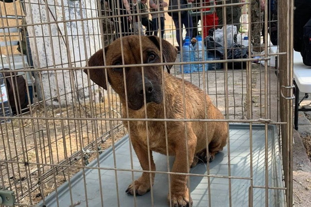 ��������� ������ ���������� ��������� ������, ������������ �� �������