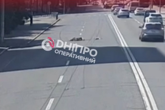 �� ������������ ���������� � ������ ������� ����������� �������� �����������