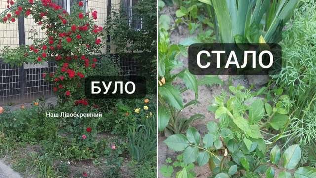������ ������ �������� �� ����������-��������, ������������ ������� ������ 