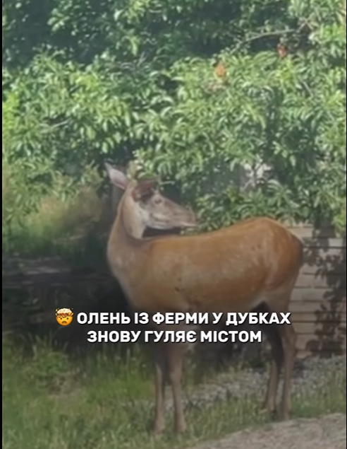 �� ������� ���� ���������� �����, ��������� �� ����������� ������� �����