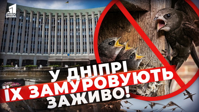 ��������� ������� ����� �����? �������� �'��� �� ������!