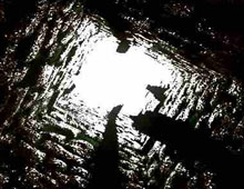 � ����������������� ���������� �������� ������ 