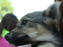 ����� ������ �� ������