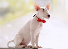 � ��������� ������ ����������!