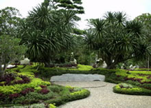 �� ����� �������� ��� ������������ ������� ����� ��������� ����