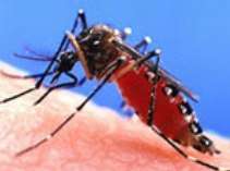 �������������� �� ������ � ���� ������� �� �����������