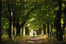 ��������� ����� ������������ ������������� �������������� 