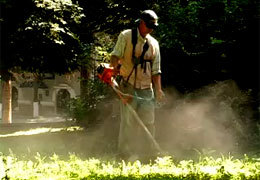 � ���������� ����������� ������