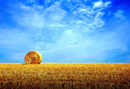 ��������� ������� 36 �������� � ���� � ���������� �������