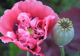 ��������� ������ �� ������ � �������