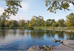 ���� �� ������� ����� ��������� 6 ����