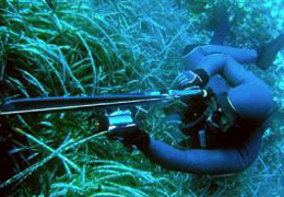 ��������� ������� �� ����������������� ������������� ���������� ���������