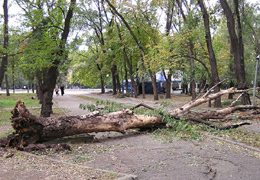 ������������ ����������� ����������� ������