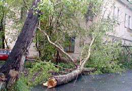 ������ �������� ���������� �� ���� ��������������� �����