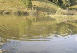 �� ��������� ���� � ������ ���� �������� 14 ��������� ������